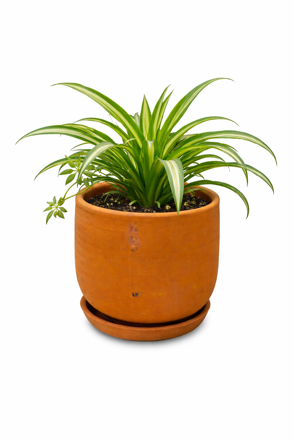 Natural Handmade Terracotta Pot – Indoor & Outdoor U